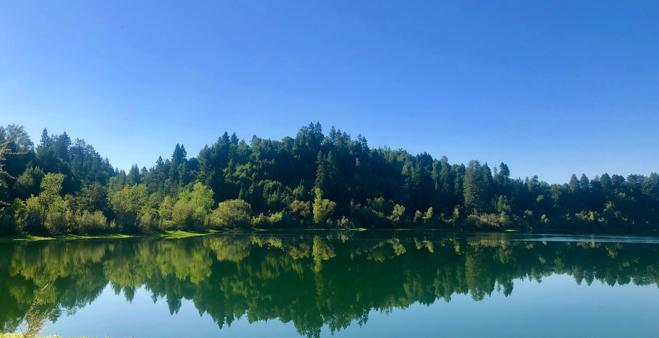 Trees are reflected on a glassy blue lake in California
