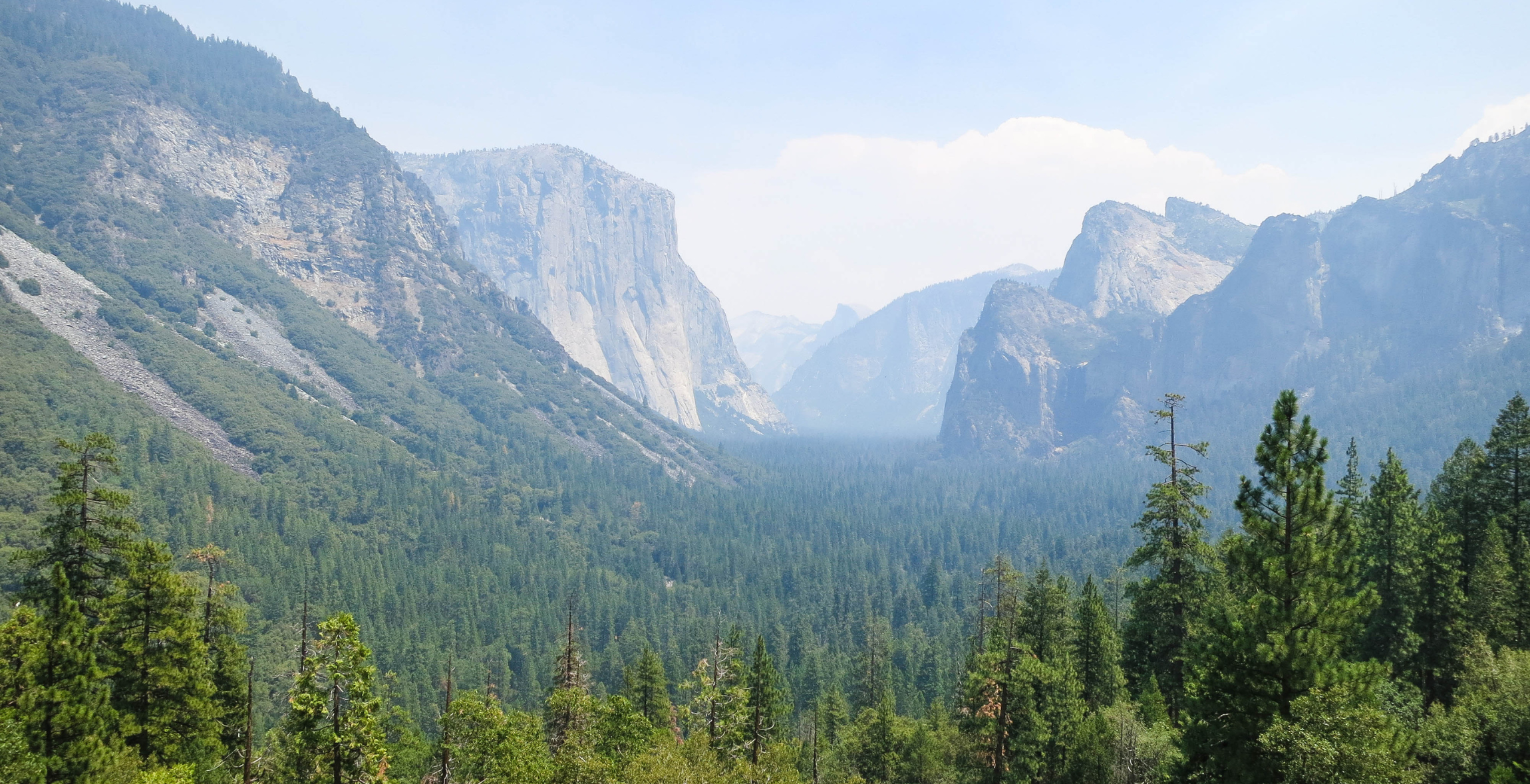 fog fills up yosemite national park in California