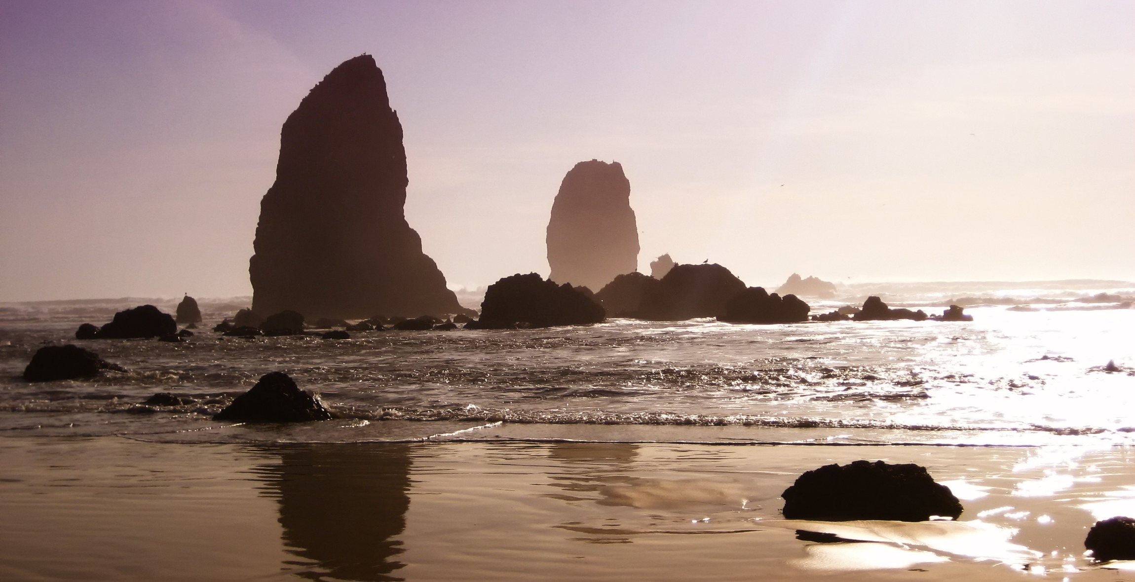 landscape and Rocks on oregon beach 