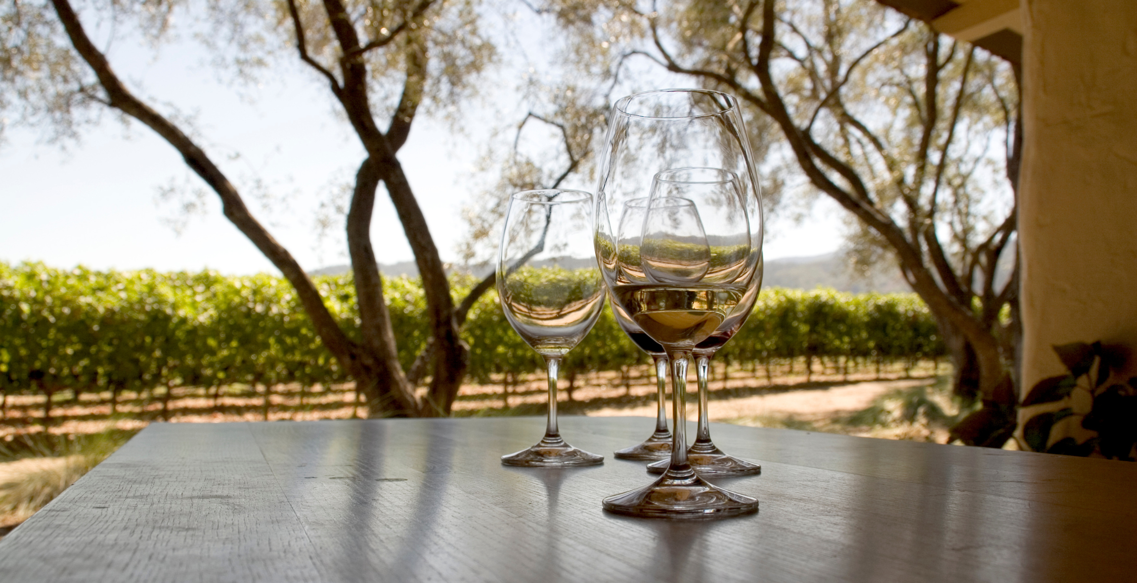 two wine glasses sit on a table in front of a vineyard